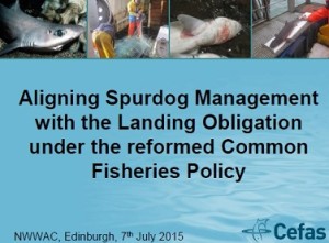 pdf_Spurdog Management with the Landing Obligation under the reformed Common Fisheries Policy