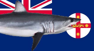 Flag_NSW_shark