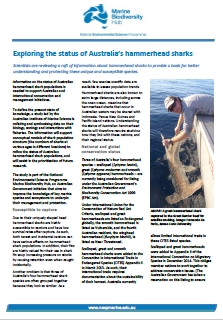 pdf_Exploring the status of Australia’s hammerhead sharks