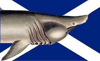 Flag_of_Scotland