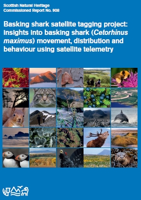pdf_basking shark report